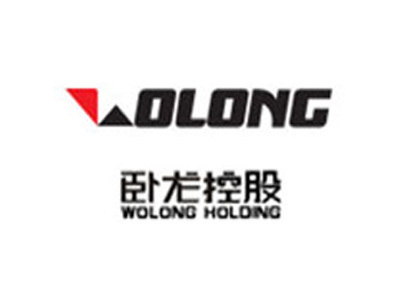 Wolong Electric Purchases Shuntec’s Servo Press